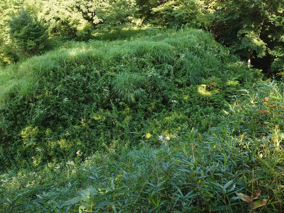 茂木城