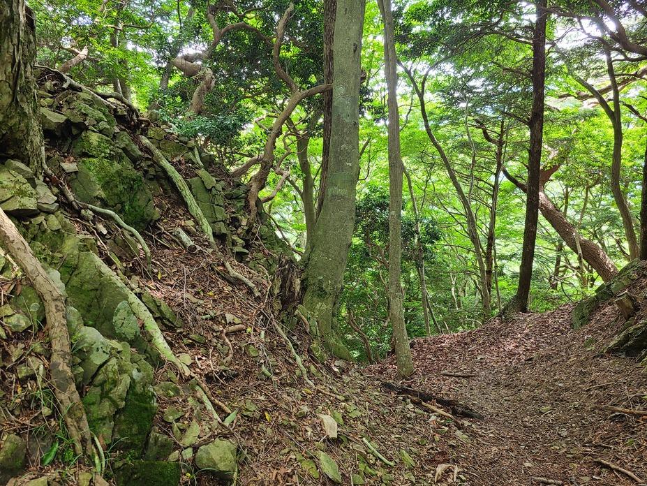 本栖城
