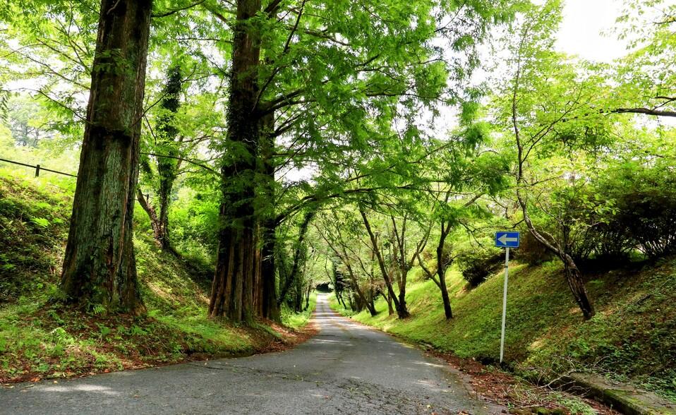 栗野城