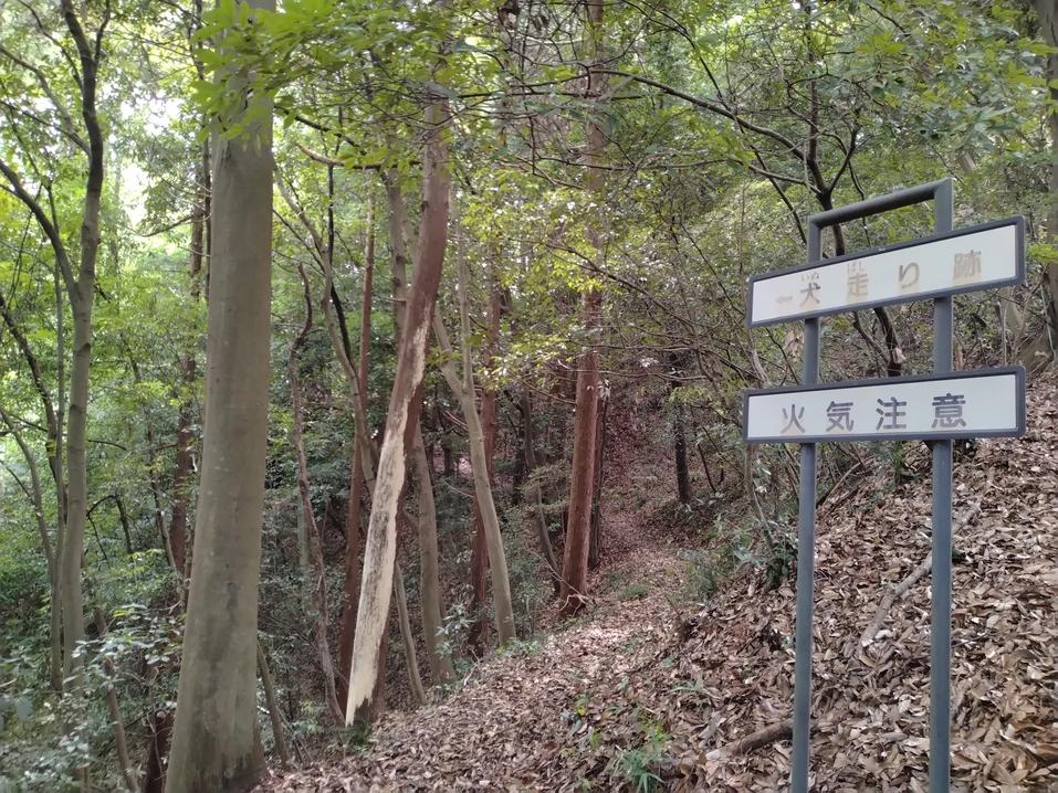 高見城