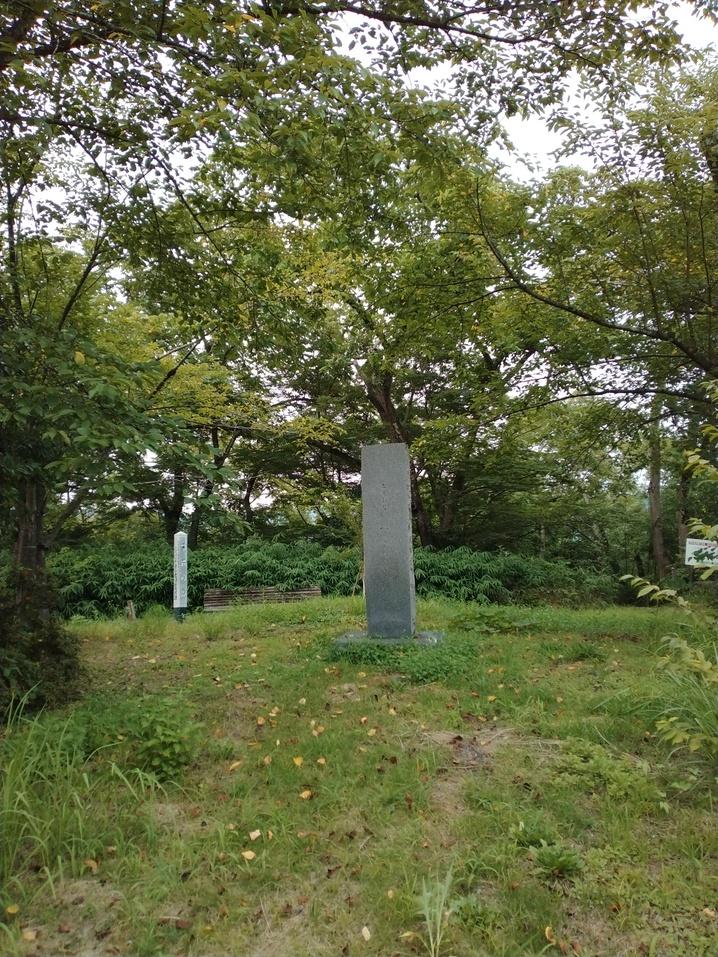 豊岡城