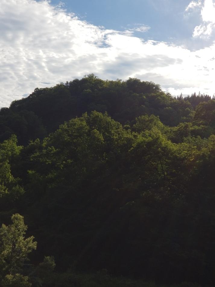 義平館