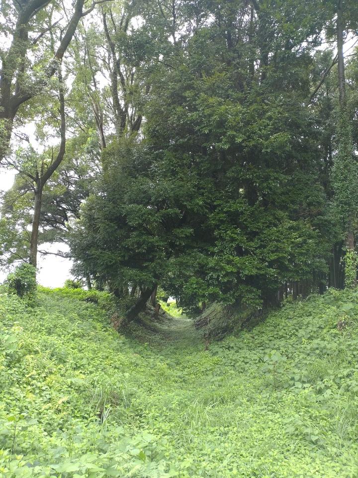 諏訪原城