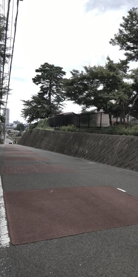 狛江入道館
