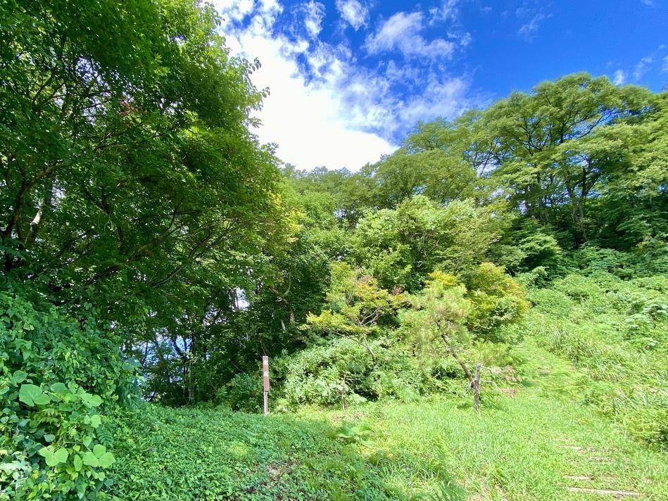 直峰城