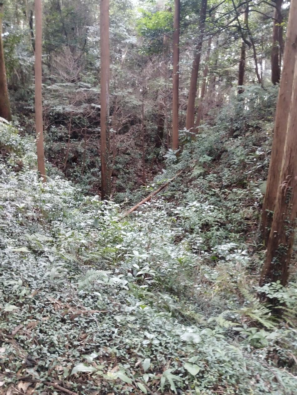 野田城