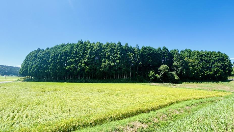 富木城
