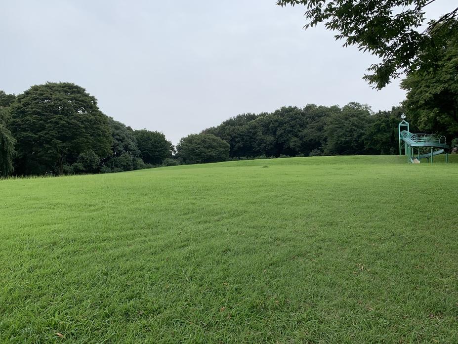 山上城