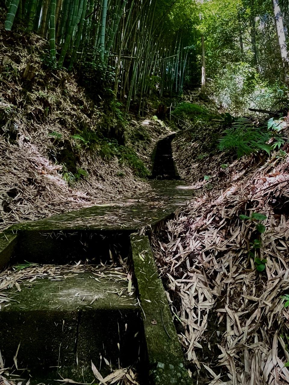 高玉城