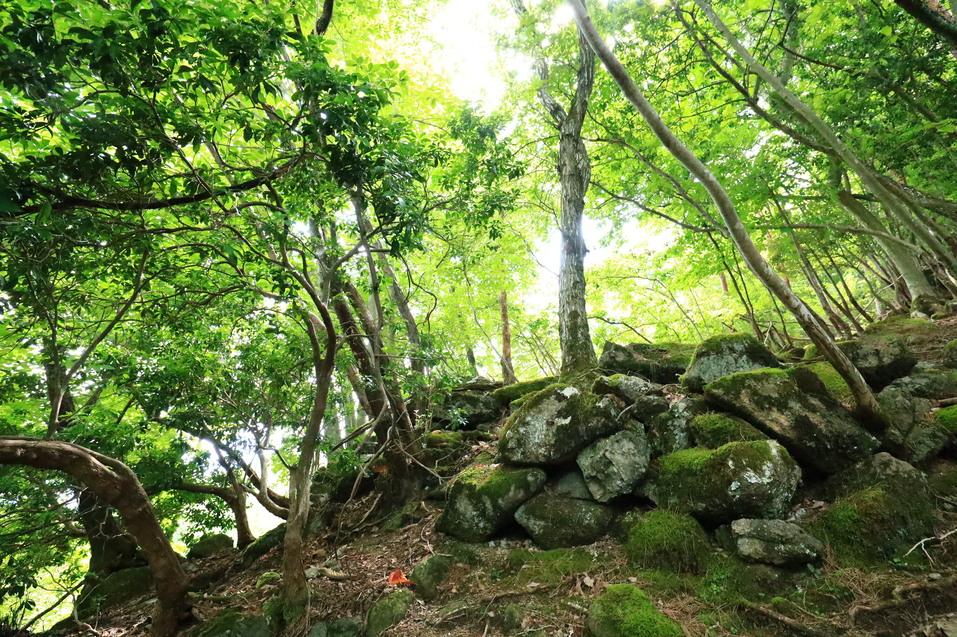 白岩城