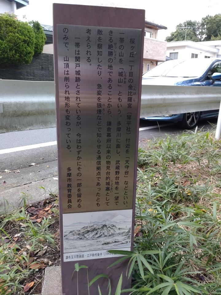 関戸城