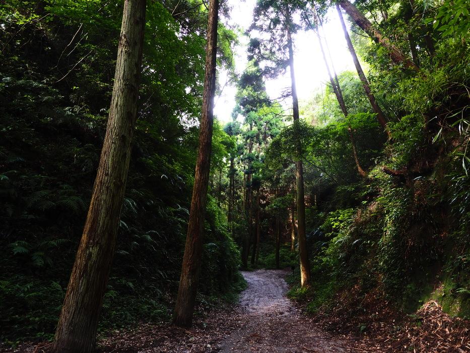 知覧城