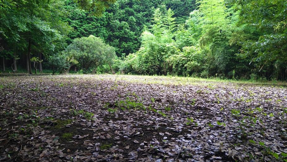 田代城