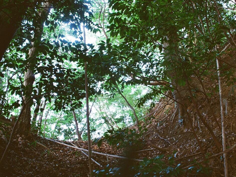 蓑上城