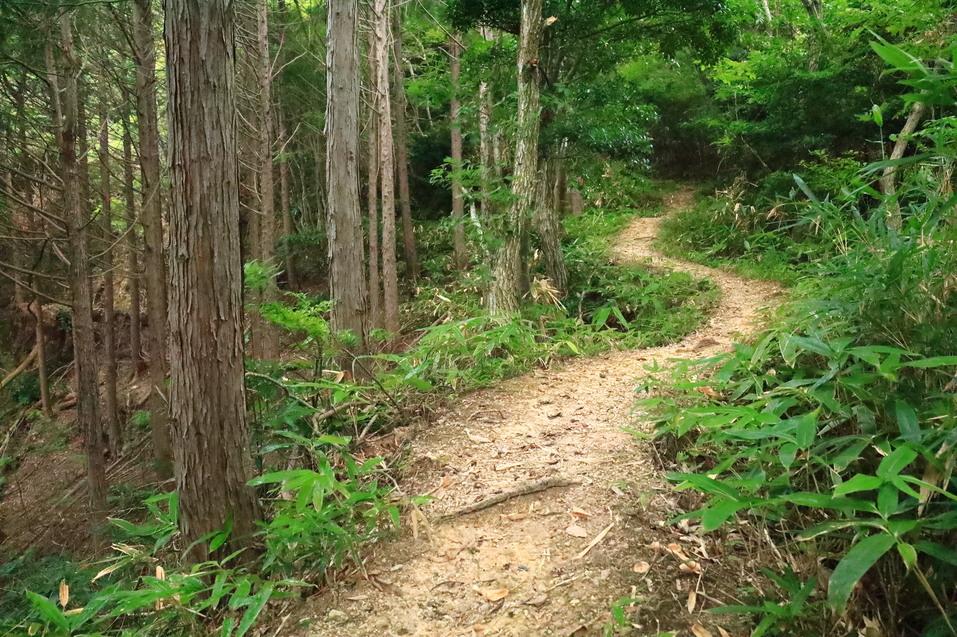 高瀬城