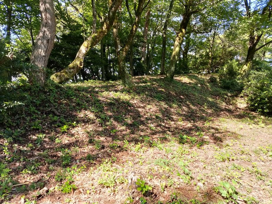天神山城