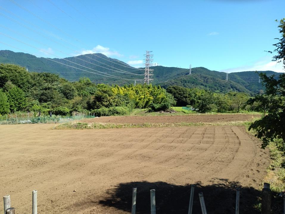 波多野城