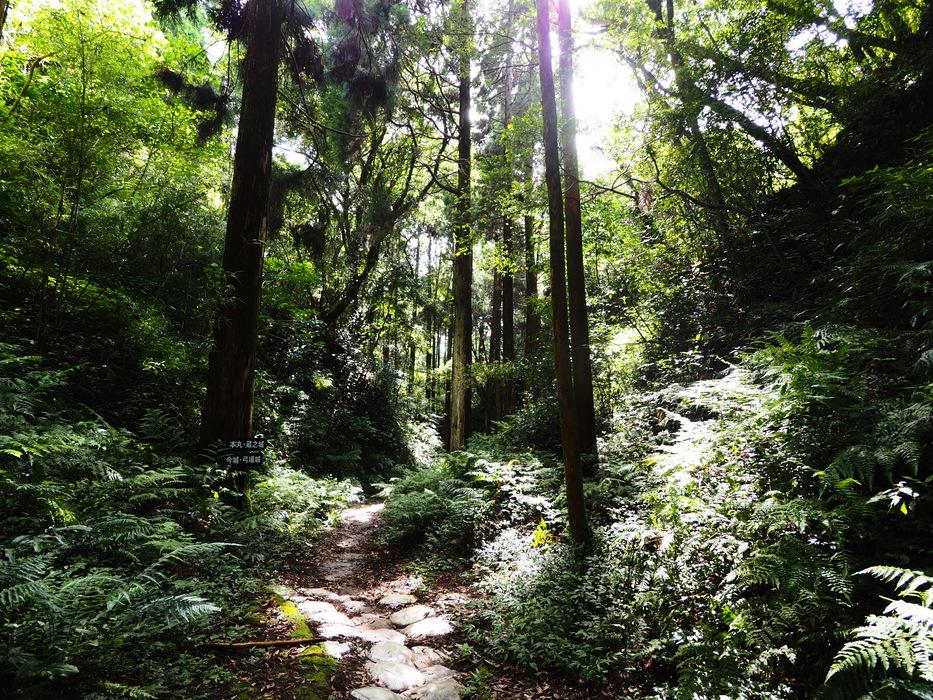 知覧城