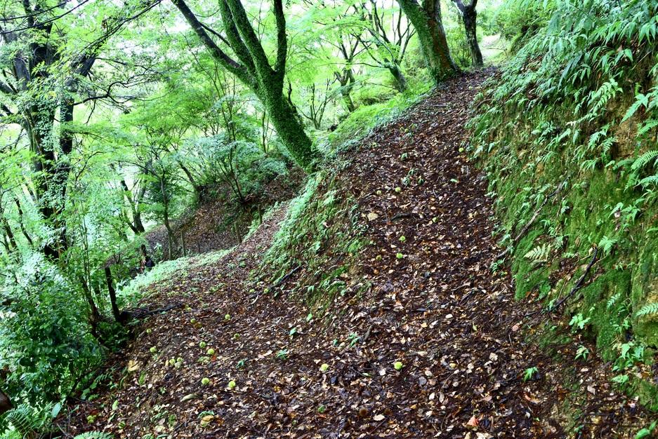 湯野田城