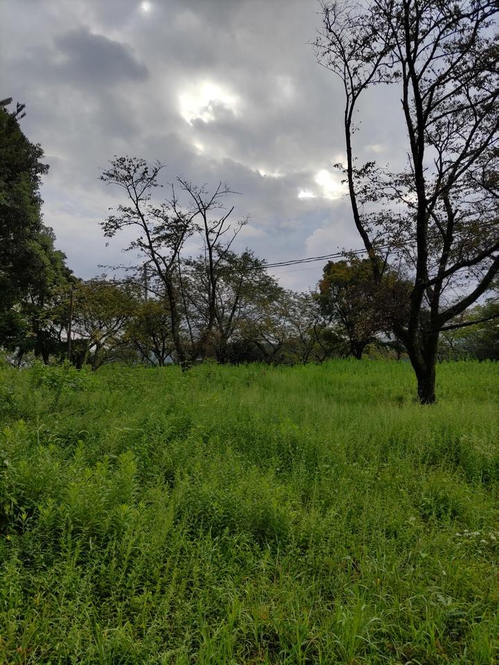 龍松山城