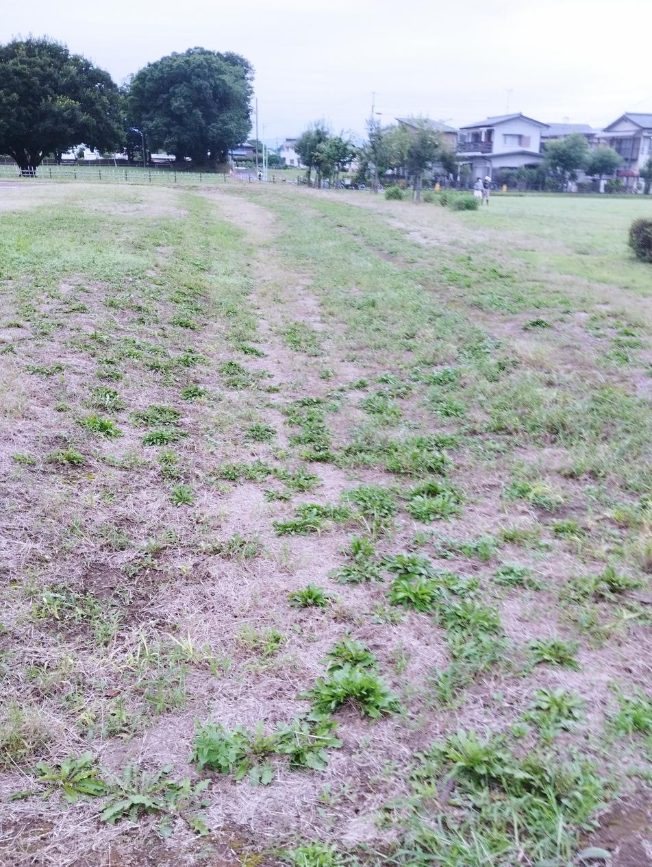 河越館