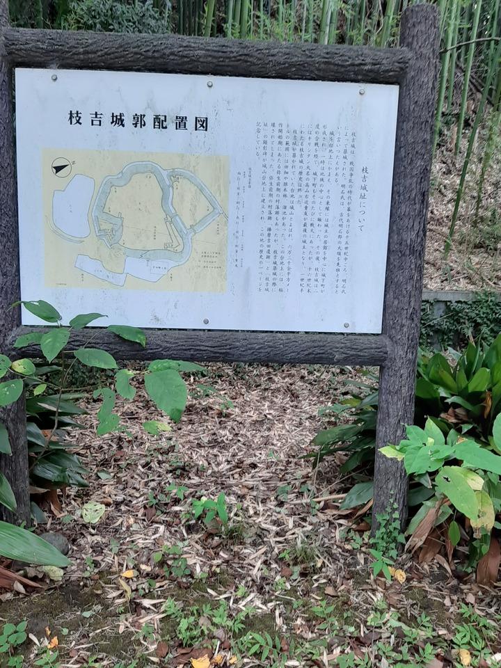 枝吉城