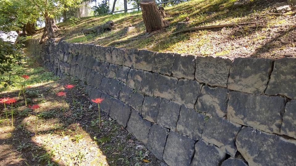 堺台場