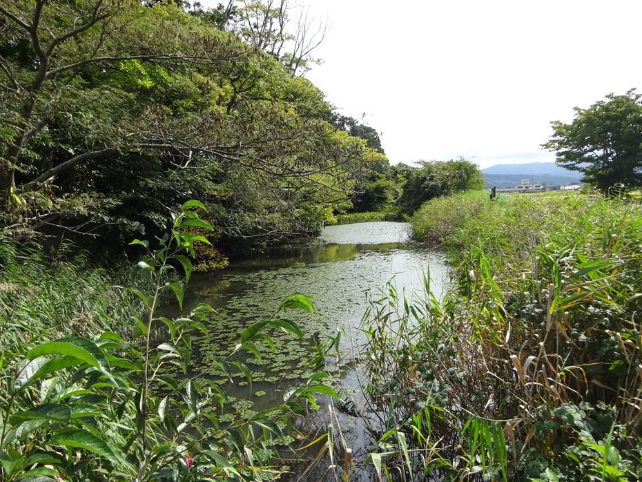 青木城