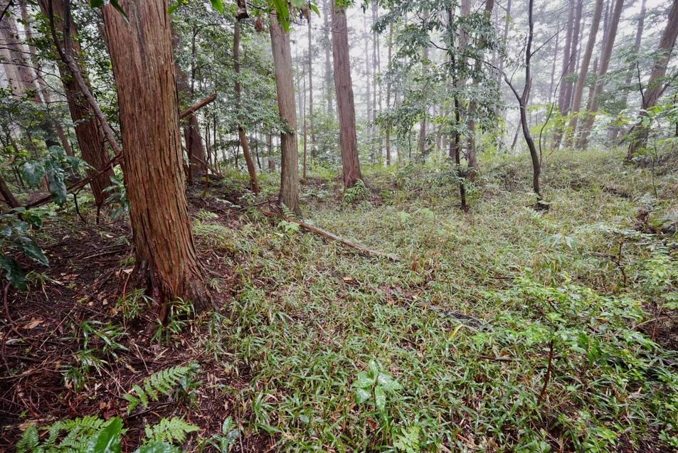 和田山城