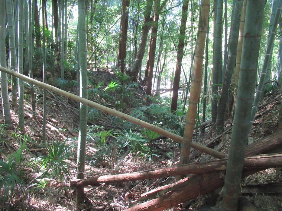 中野城