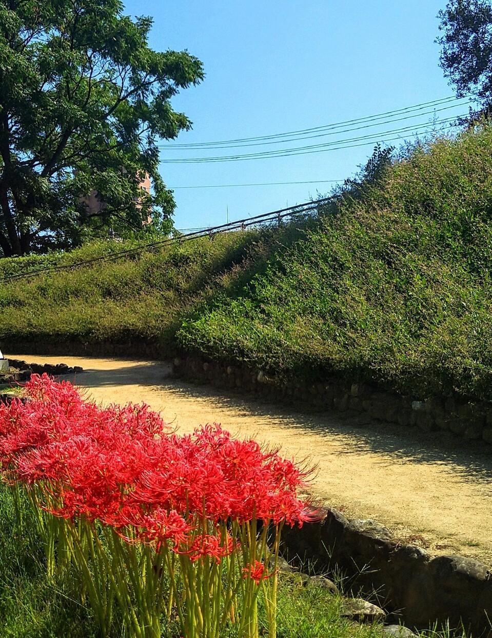 湯築城