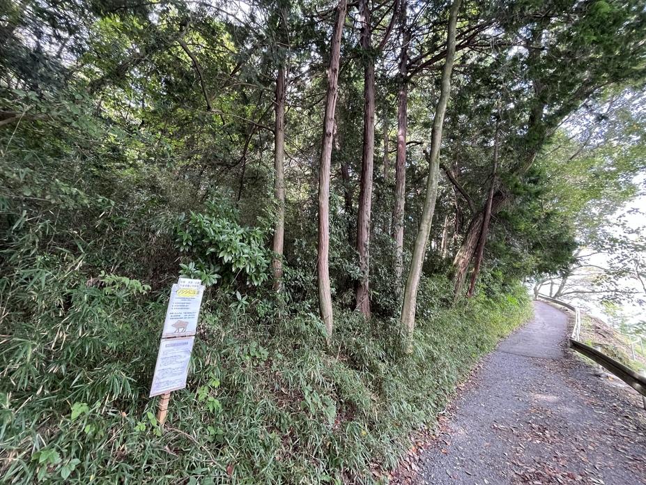 田波目城