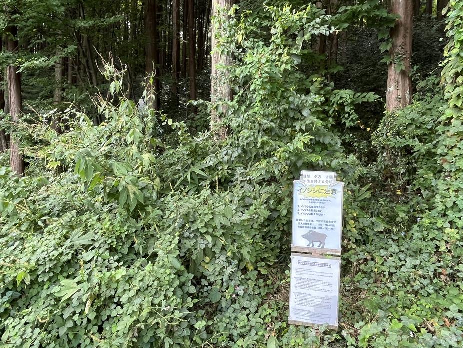 田波目城