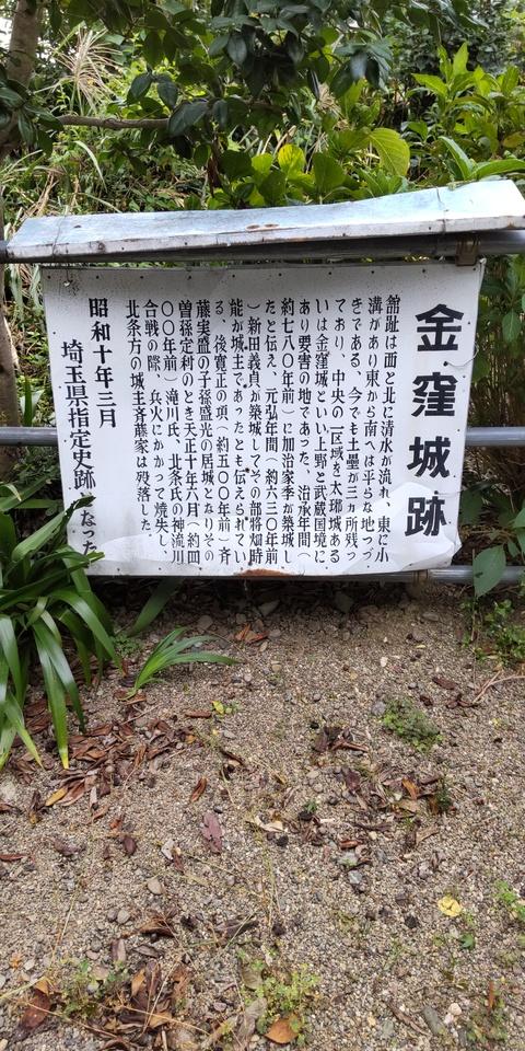 金窪城