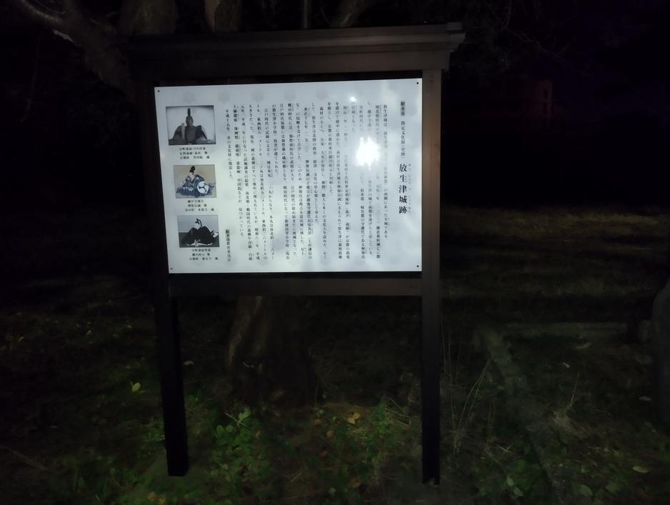 放生津城