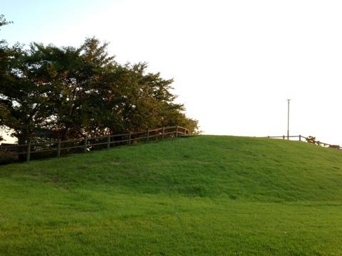 新田目城