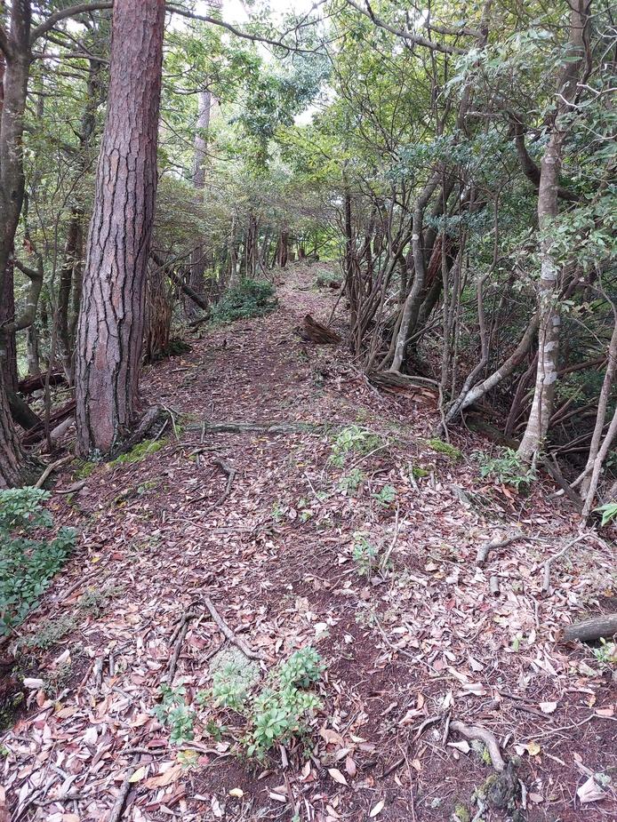 景石城