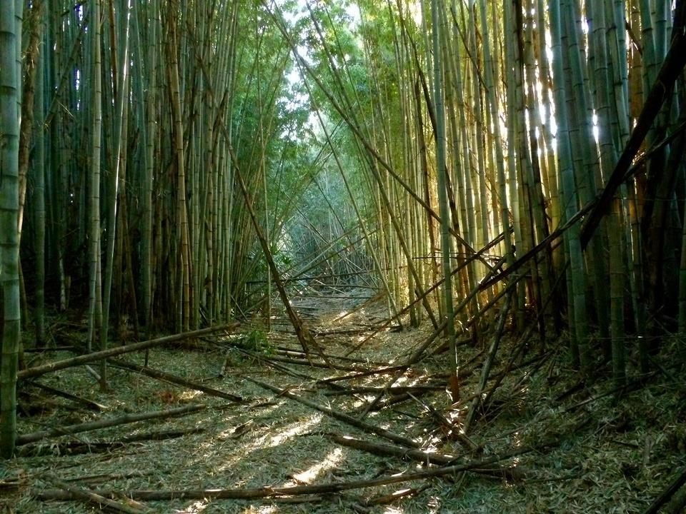 結城城