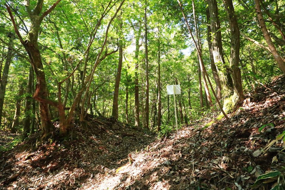 甲山城