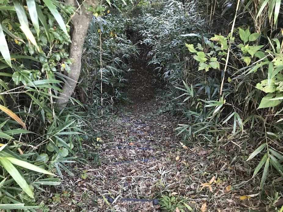 北田原城