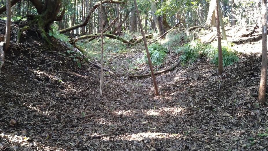 苅野丸山城