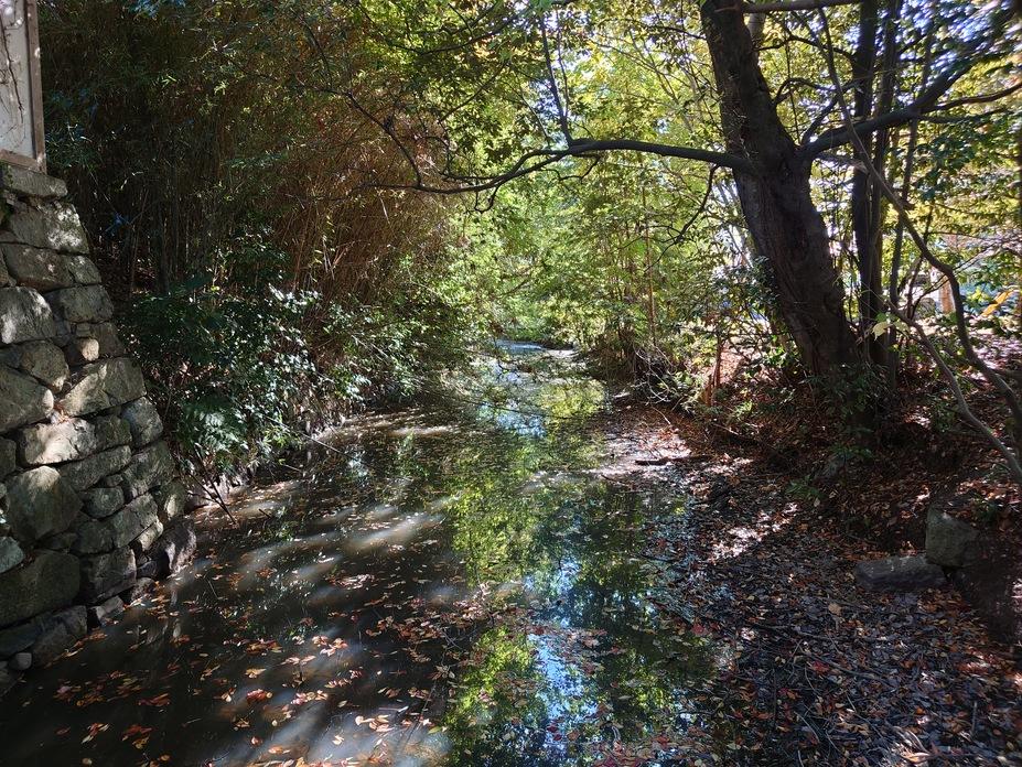 芦浦観音寺館
