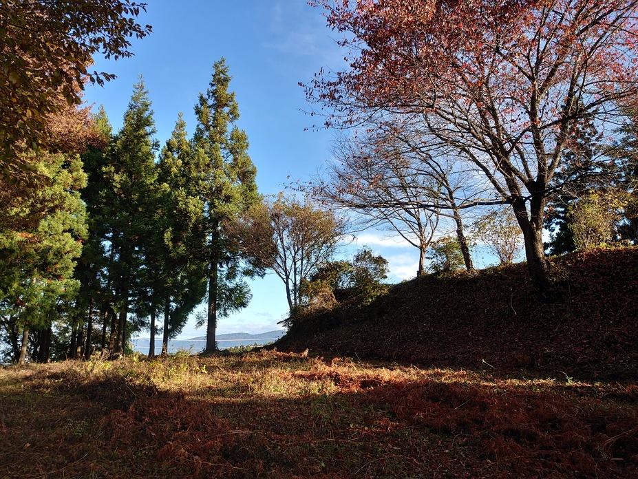 毒沢城