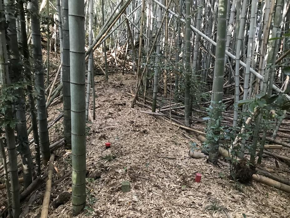 高山城