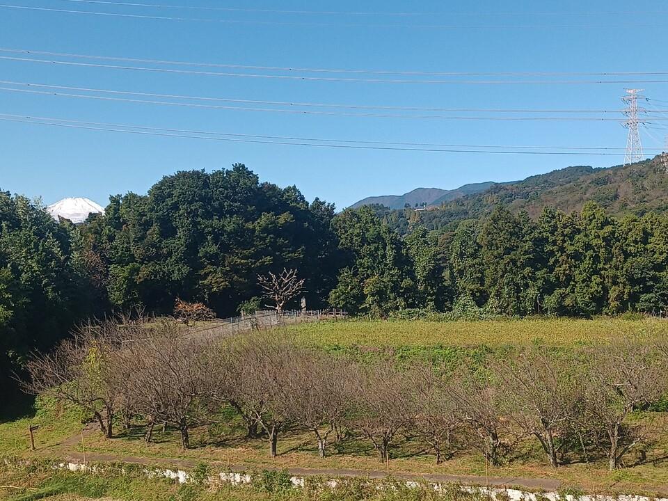 波多野城
