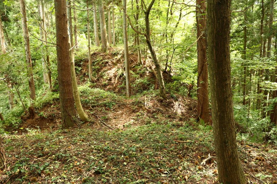 小山城