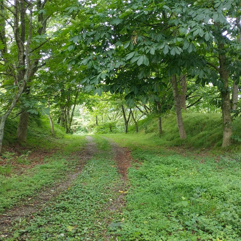 角館城
