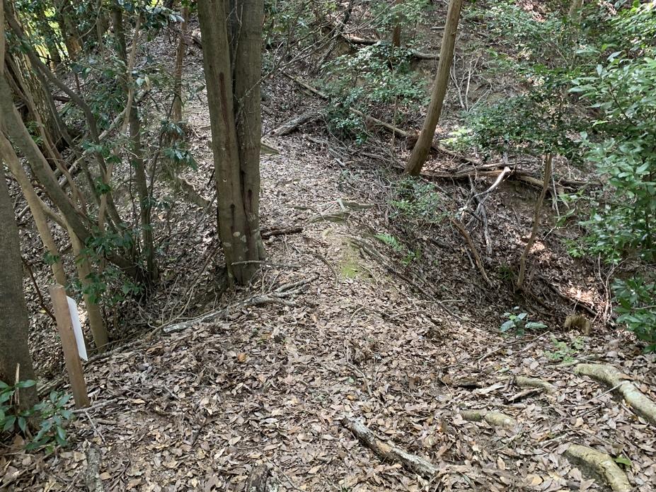 長藪城