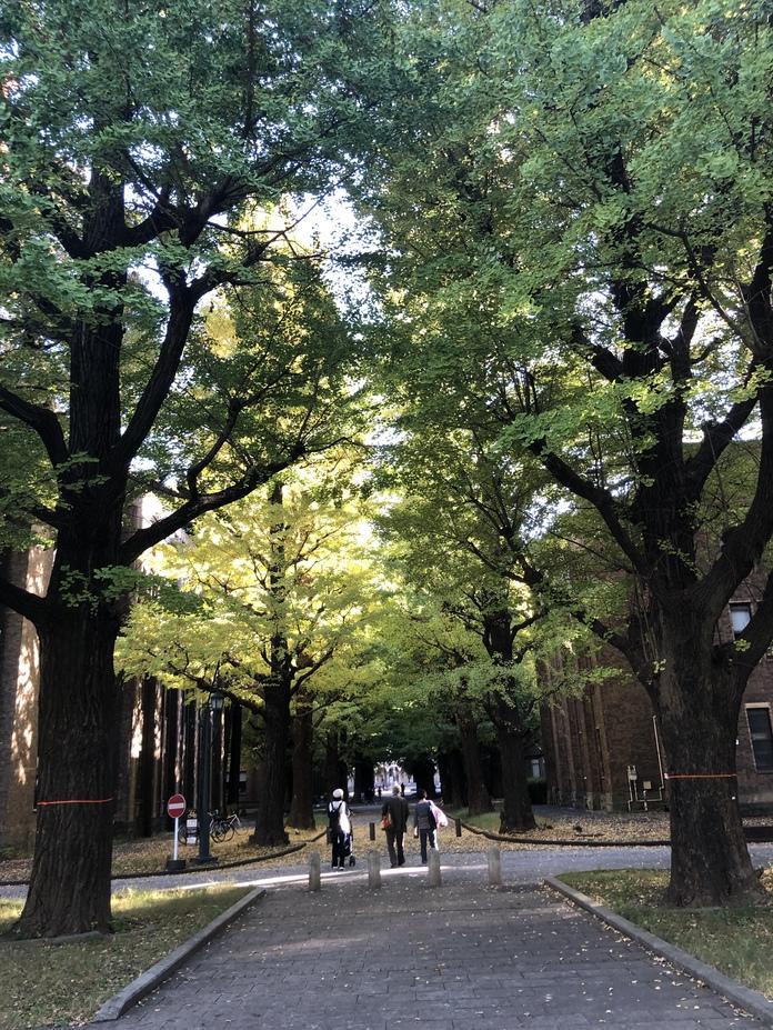 本郷城