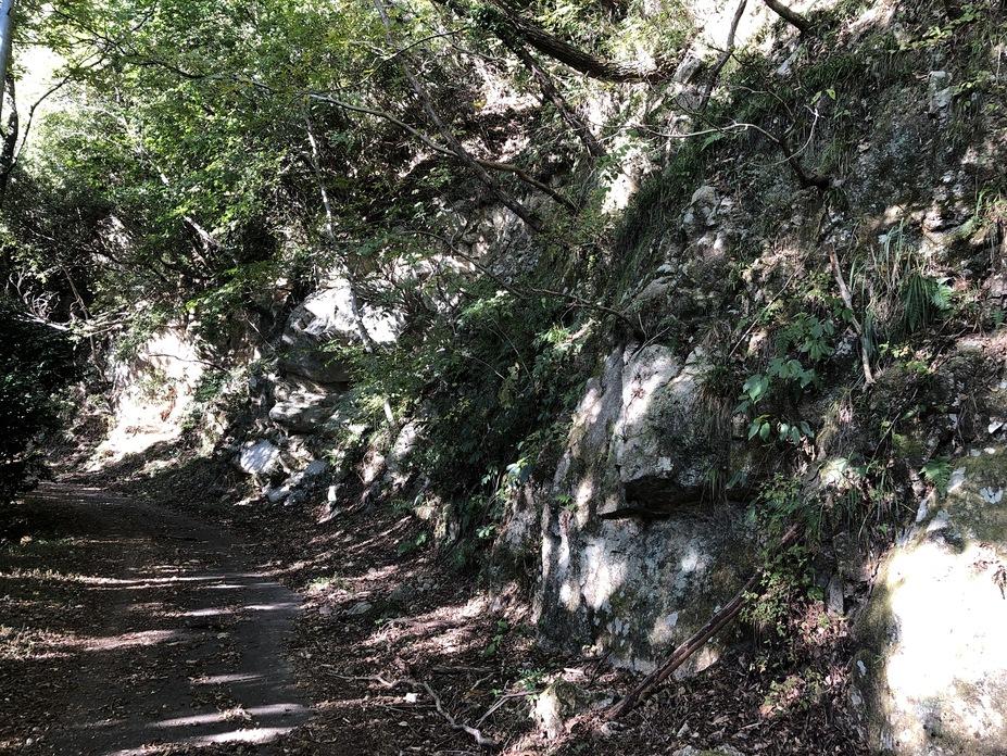 鷹ヶ森城